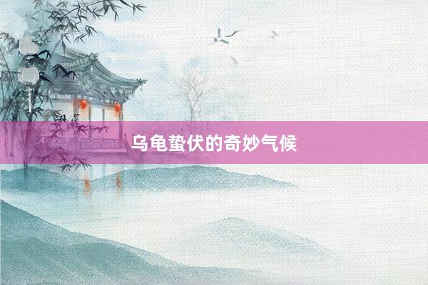 乌龟蛰伏的奇妙气候