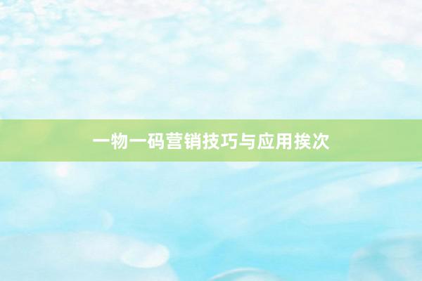一物一码营销技巧与应用挨次