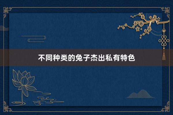 不同种类的兔子杰出私有特色